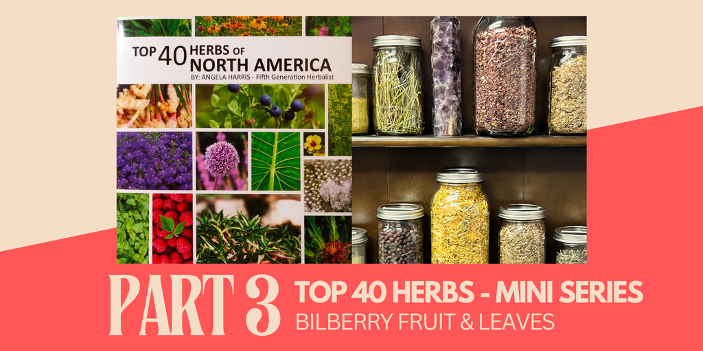 Top 40 Herbs of North America Series - Bilberry Fruit and Leaves