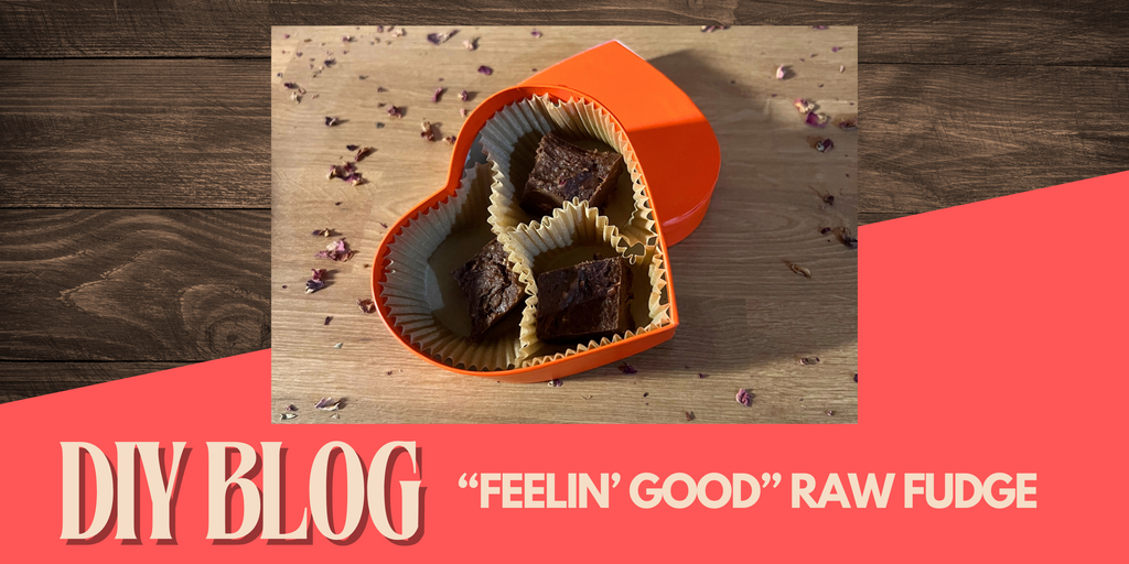 “Feelin’ Good” Raw Fudge