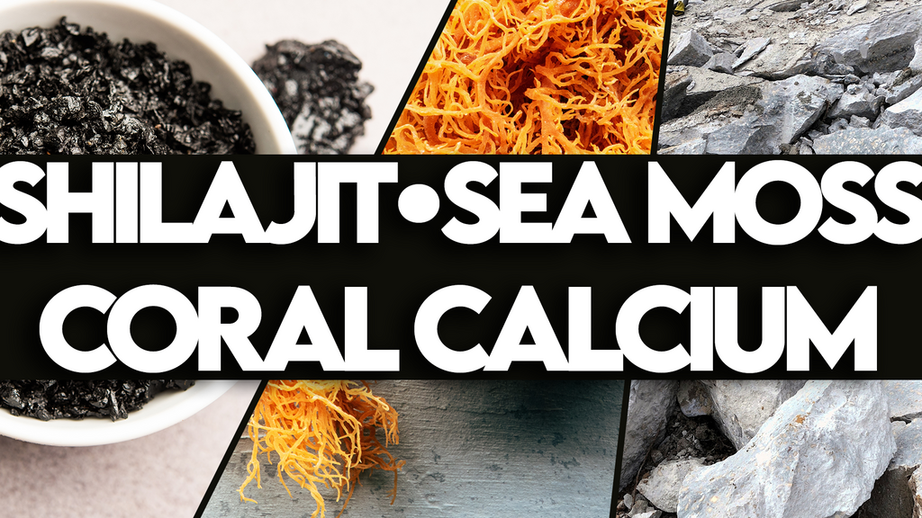 Top Benefits Of Your Favorite Mineral Source:  Shilajit - Sea Moss - Coral Calcium