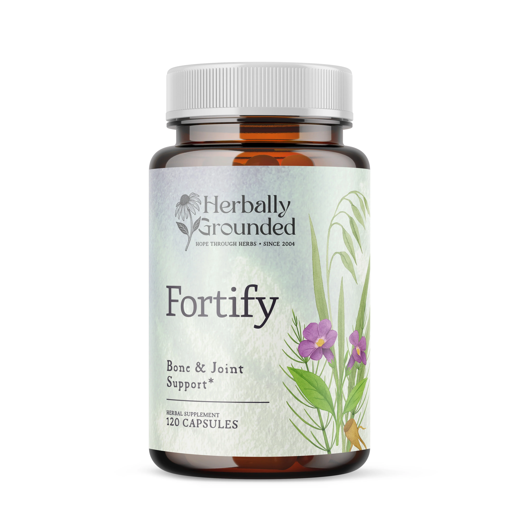 Fortify Bone & Joint Support - Capsules – Herbally Grounded