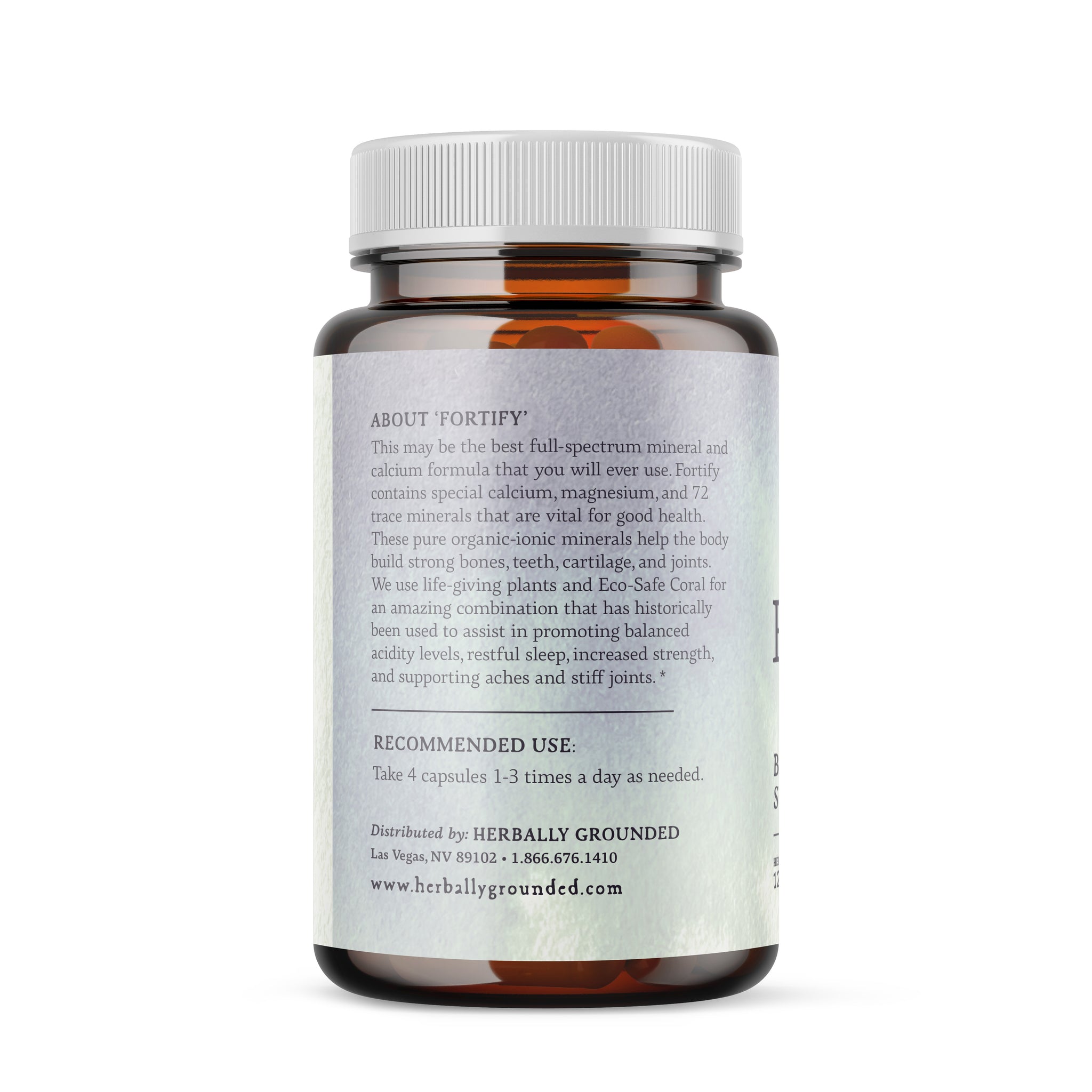 Fortify Bone & Joint Support - Capsules – Herbally Grounded