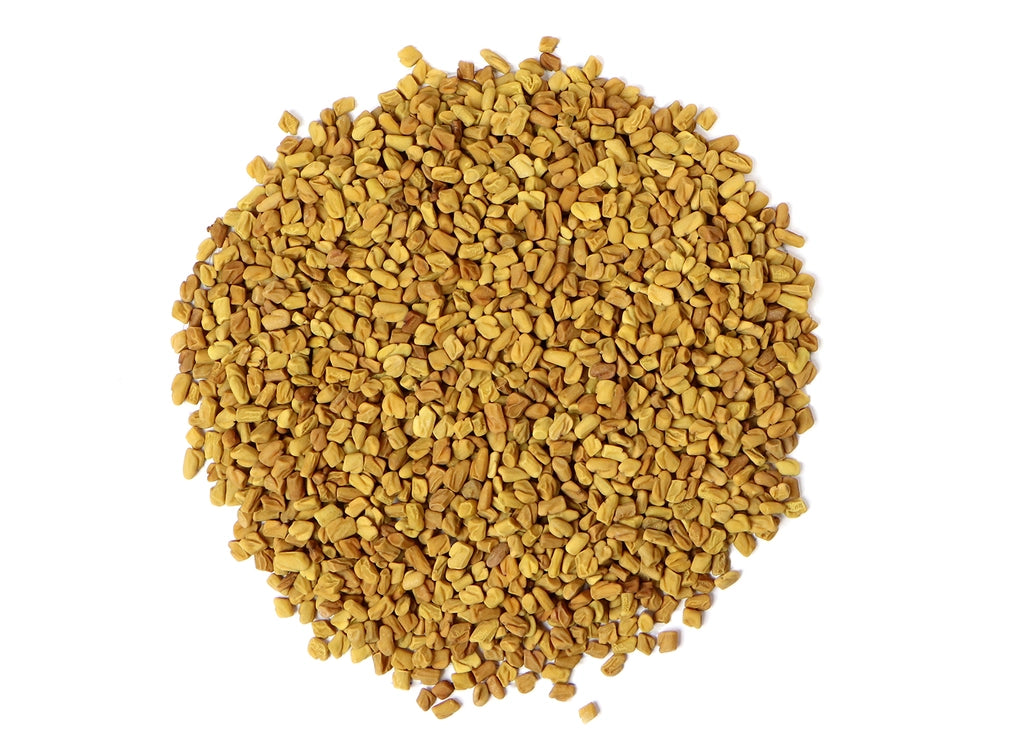 Fenugreek Seed comes from the herb with the Latin botanical name of Trigonella Foenum Graecum, which is a member of the Fabaceae plant family, the same one that is the family for legumes, peas and beans. 