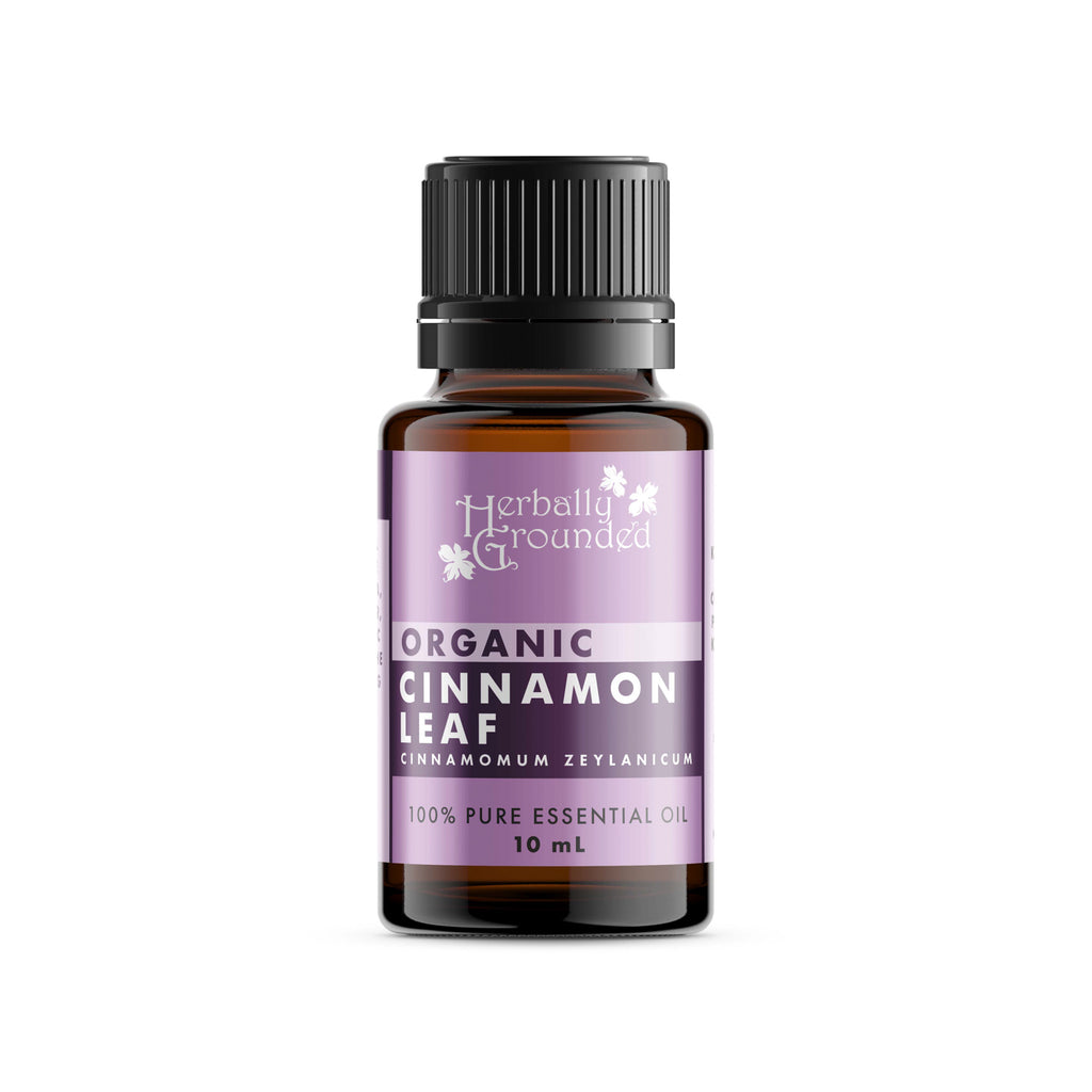 Our Cinnamon Leaf, Organic essential oils retain the essential aroma, medicinal, odor, and therapeutic properties of the plant, resulting in a superior quality and highly concentrated essence. Aroma: Sharp, spicy-sweet, bright scent with a slightly earthy and woodsy aroma.