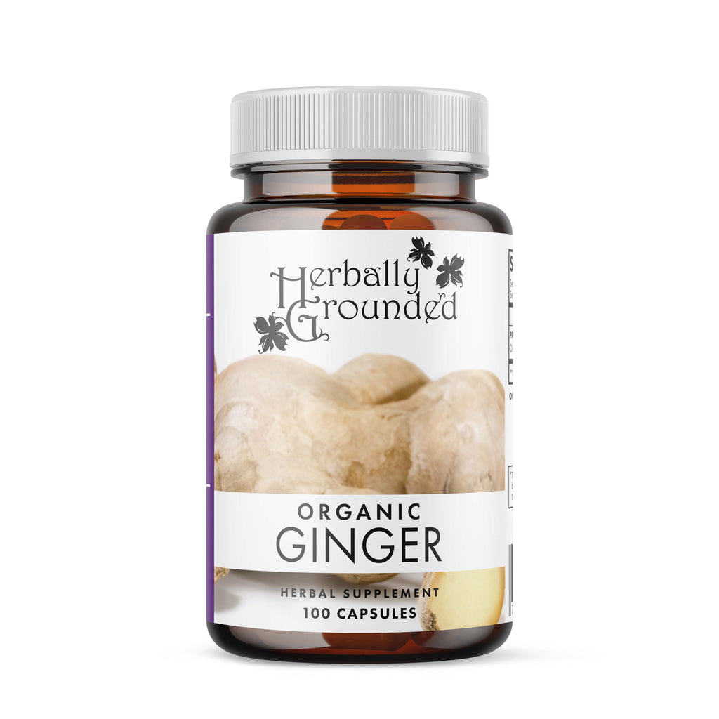 Ginger supports balanced, calm function of the digestive system. Assists with soothing nauseated sensation in the body. Promotes circulatory flow and inflammation response. 