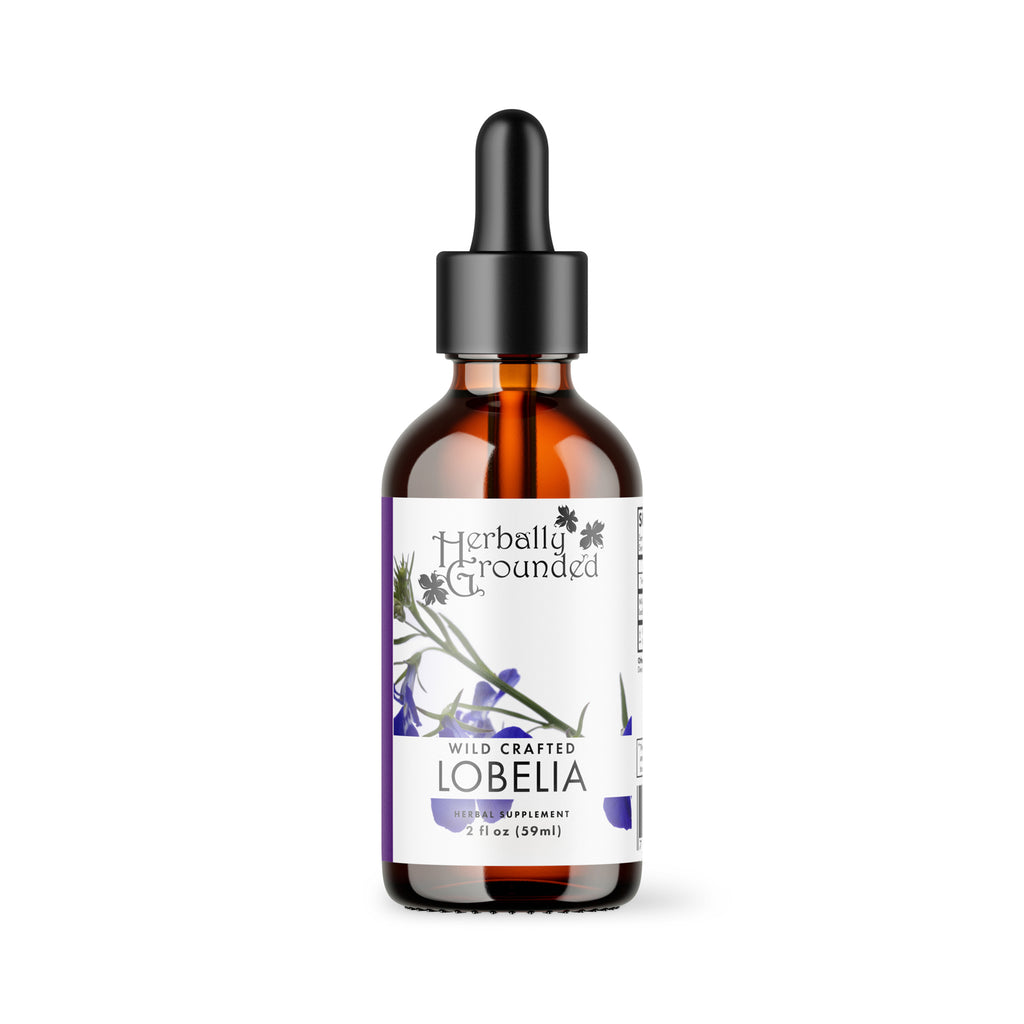Lobelia promotes overall respiratory and digestive function. Supports the body’s natural elimination processes to expel excess mucus. Encourages physical and emotional calming without impacting cognitive function.