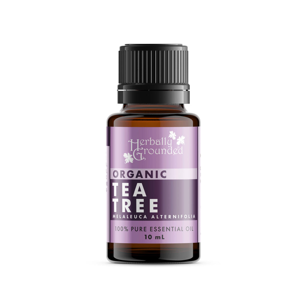 Our Tea Tree, Organic essential oils retain the essential aroma, medicinal, odor, and therapeutic properties of the plant, resulting in a superior quality and highly concentrated essence. Aroma: Spicy, camphorous, warm, fresh, slightly medicinal scent. 